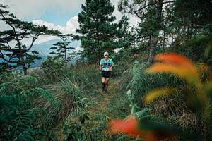 BIB: 
                            <button type="button" onclick="openModal(25257887)" class="btn btn-primary btn-sm float-right btn-popup" data-toggle="modal" data-target=".modal-high-quality">
                        <i class="fas fa-shopping-cart"></i> Add to Cart
                    </button>
                                            <button type="button" onclick="isThisMe(25257887, true)" class="btn btn-success btn-sm float-right btn-popup btn-isme hidden" data-toggle="tooltip" data-placement="bottom" title="นี่คือรูปของคุณใช่ไหม คลิกที่นี่เพื่อเอาเข้าอัลบั้ม">
                        <i class="fas fa-plus"></i> Add to album
                    </button>
                    <button type="button" onclick="isThisMe(25257887, false)" class="btn btn-warning btn-sm float-right btn-popup btn-isnotme hidden">
                        <i class="fas fa-ban"></i> Remove from album
                    </button>